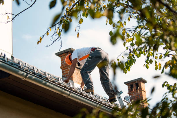 Best Roof Maintenance Services  in Grosse Pointe Farms, MI